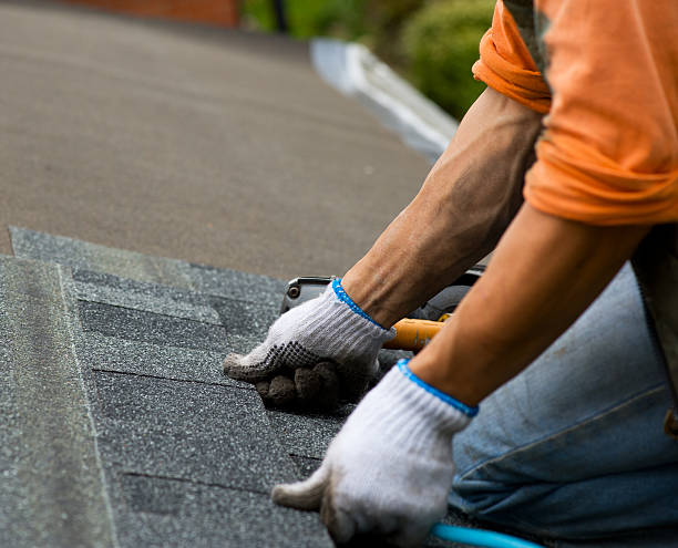 Best New Roof Installation  in St Charles, MN